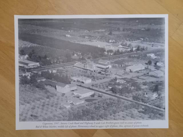 Early Cupertino Poster