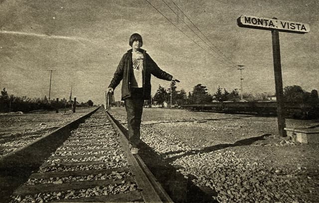 Monta Vista Walking Guide Program